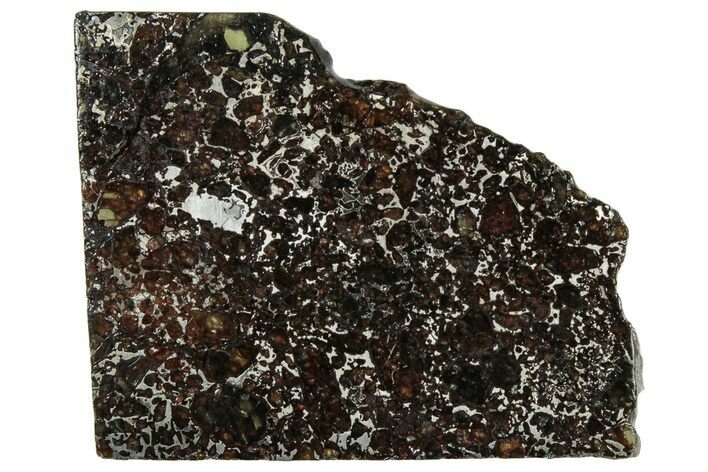 Polished Admire Pallasite Meteorite ( g) Slice - Kansas #307284